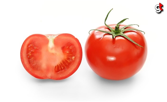 Samsun'da 1 adet domatesin fiyatı 4,5 lira