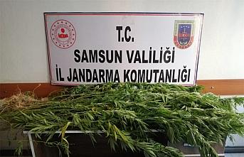 Samsun'da uyuşturucu operasyonlarında 14 şüpheli yakalandı