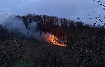 Düzce'nin Akçakoca ilçesinde orman yangını çıktı