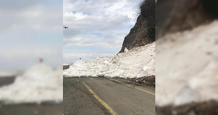 Artvin'de çığ nedeniyle kapanan yol trafiğe açıldı