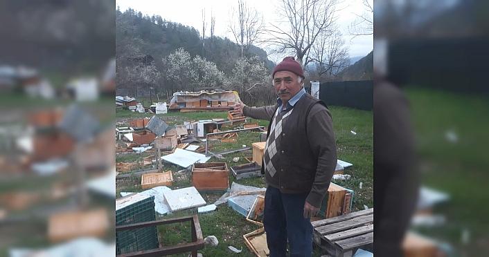 Karabük'te ayılar arı kovanlarını parçaladı