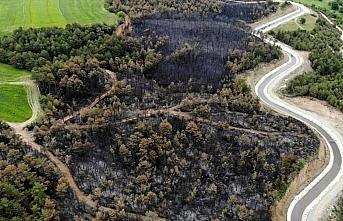 Kastamonu'daki orman yangınında 11 hektar alan zarar gördü
