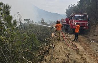 Sinop'ta çıkan orman yangınına müdahale ediliyor