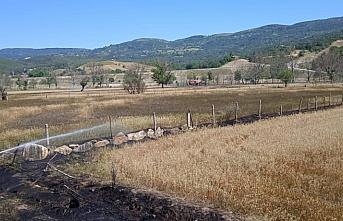 Kastamonu'da çıkan yangında tarım arazisi zarar gördü