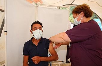 Ordu'ya fındık hasadına gelen mevsimlik işçilere Kovid-19 aşısı yapılıyor