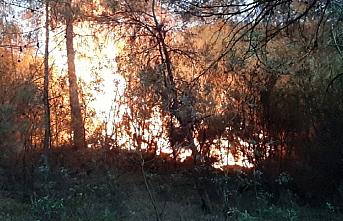 Karabük'te ormanlık alanda çıkan yangın kontrol altına alındı