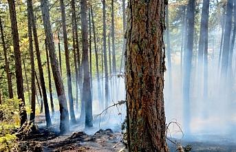 Kastamonu'da ormanlık alanda çıkan örtü yangını kontrol altına alındı