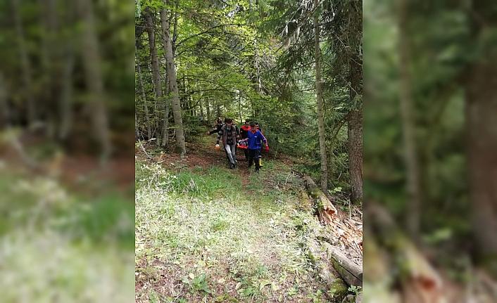 Ormanlık alanda mantar toplarken düşerek yaralanan kadın kurtarıldı