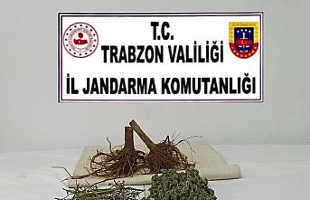 Trabzon'da uyuşturucu operasyonunda 1 şüpheli yakalandı