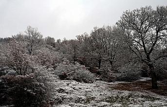 Kastamonu yaylaları ve Tokat'ın yüksek kesimlerinde kar etkili oldu