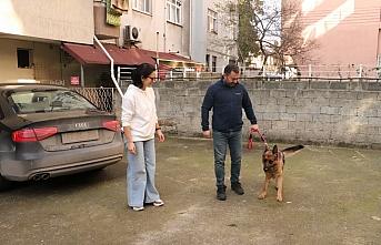 GÜNCELLEME - Zonguldak'ta çalınan köpeklerini bulan çift, büyük sevinç yaşadı