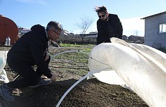 Samsun'da görevli doktor ürettiği tıbbi papatya yağını, kilogramı 6 bin avrodan ihraç etti