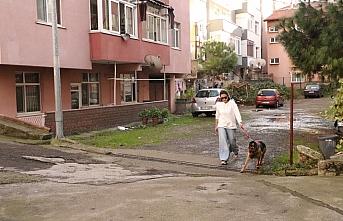 Zonguldak'ta çalınan köpeklerini bulan çift, büyük sevinç yaşadı