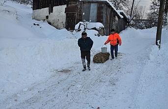 Bolu'da kardan kapanan yolu açılan besiciler hayvanları için ot taşıyor