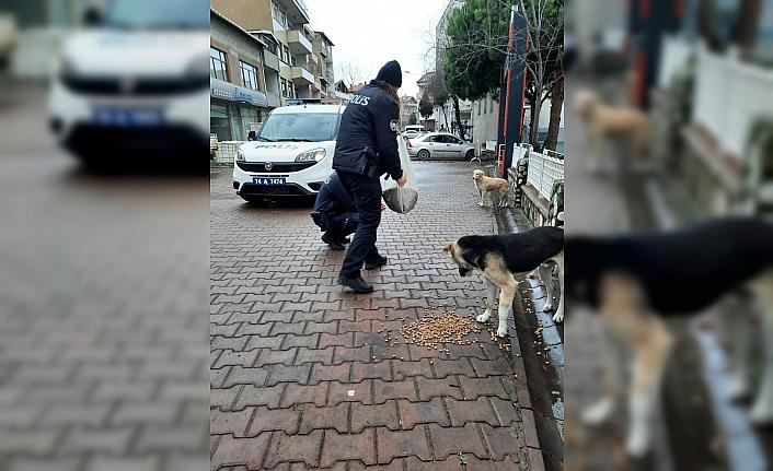 Karabük ve Bartın'da polis ekipleri sokak hayvanlarını besledi