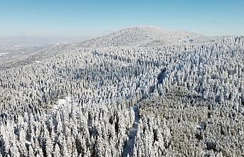 Köroğlu Dağları'nın karla kaplı yayla ve ormanları havadan görüntülendi