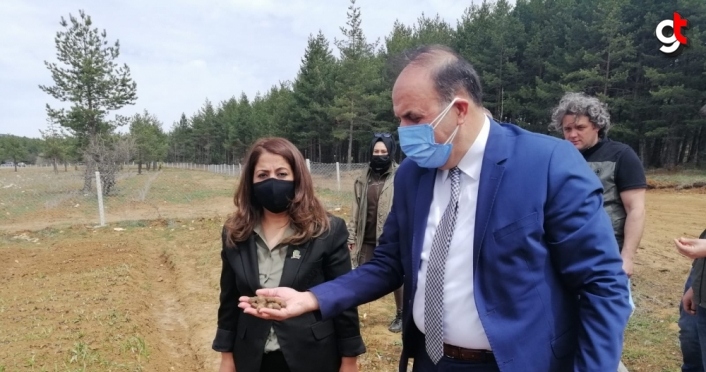 Zonguldak Orman Bölge Müdürü Bayraktaroğlu'ndan Safranbolu Tıbbi ve Aromatik Bitki Şehri'nde inceleme